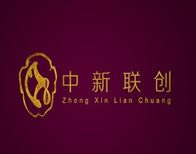 【中新联创】金融企业LOGO设计理念讲解,金融LOGO设计效果图片欣赏